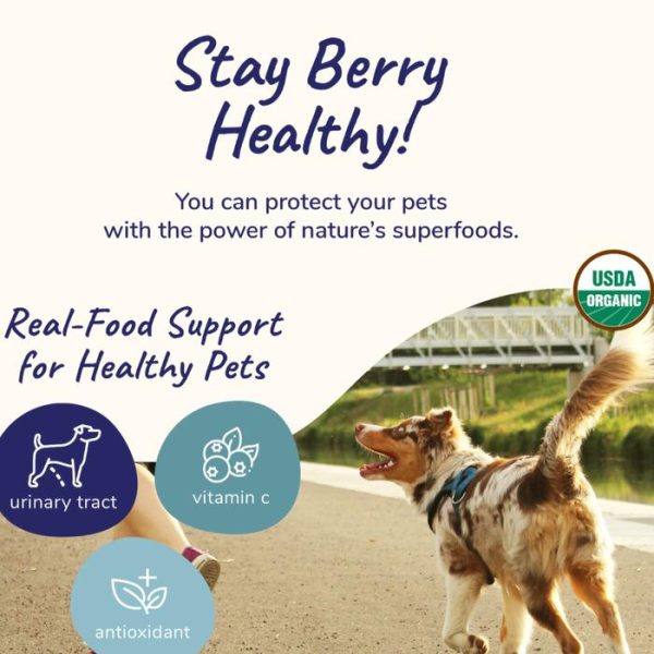 kin+kind Healthy Immunity Urinary Tract Antioksidan Kucing Anjing Dog - Image 3