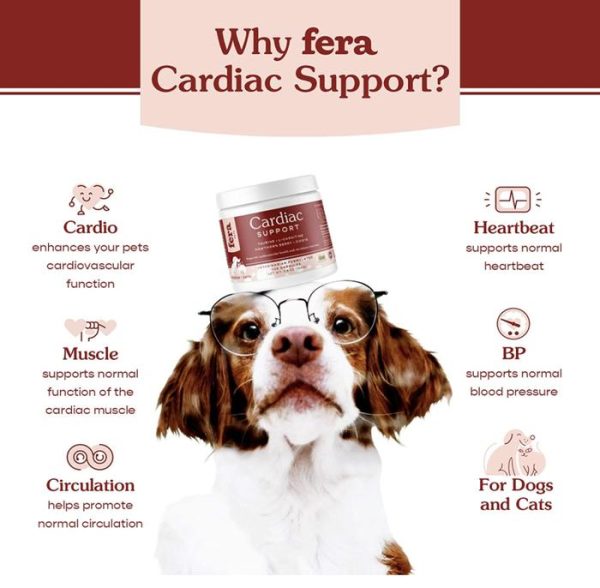 Fera Pet Organic Cardiac Support Dog Cat Vitamin Jantung Anjing Kucing - Image 2