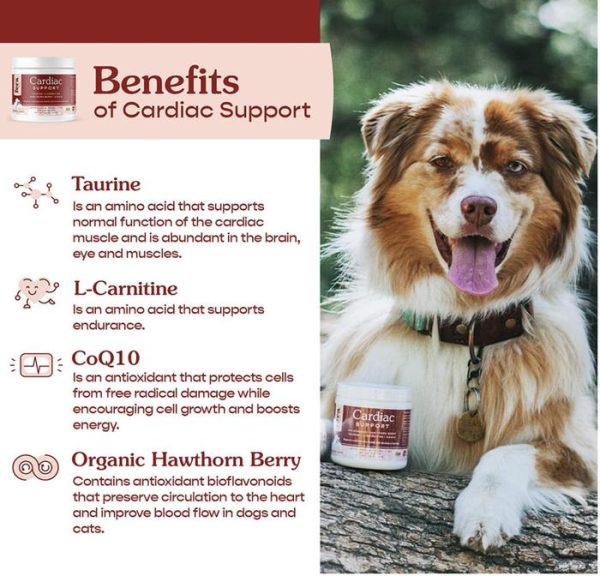 Fera Pet Organic Cardiac Support Dog Cat Vitamin Jantung Anjing Kucing - Image 3
