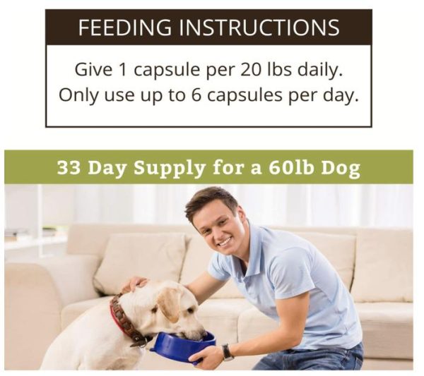 Wholistic Pet Organics Wild Salmon Oil Dog Cat Fish Oil Anjing Kucing - Image 3